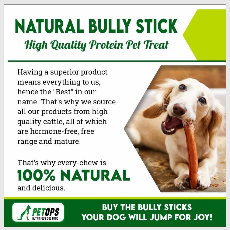 6 Inch Braided Bully Sticks for Dogs – Heavy Jumbo, All Natural, Long Lasting Dog Chews (Pack of 10, Single Ingredient Beef) - Snuglily