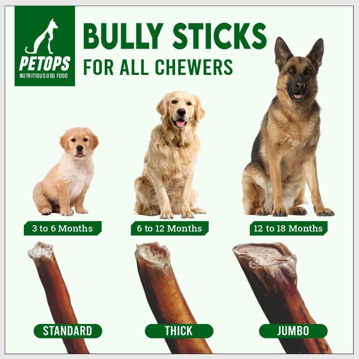 6-Inch Bully Sticks for Dogs – Heavy,  Thick Long-Lasting Chews (10 Pack, 13.5 oz) | 100% Natural Beef, Odor-Reduced - Snuglily