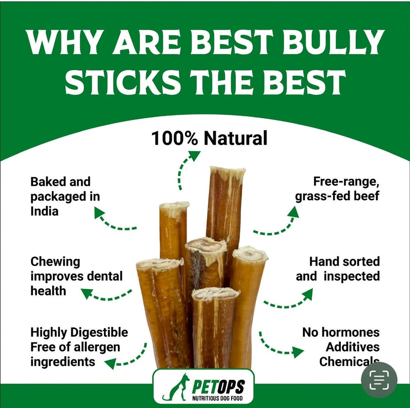 6 Inch Braided Bully Sticks for Dogs – Heavy Jumbo, All Natural, Long Lasting Dog Chews (Pack of 10, Single Ingredient Beef) - Snuglily