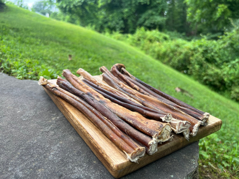 12 Inch Jumbo Bully Sticks for Dogs – Extra Thick, All Natural, Single Ingredient Beef Dog Chews (Pack of 10, Chemical-Free) - Snuglily
